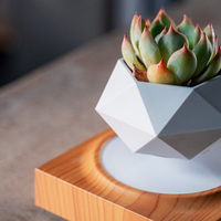 Pot de fleurs flottant à lévitation magnétique HCNT, en plastique ABS, alimenté électriquement, lévitation 12-15 mm, cadeau personnalisé pour la maison