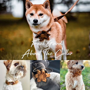 Collar de Perro Personalizado Color Café con Lazo y Correa, Grabado con Nombre de Mascota, Hebilla Metálica, Regalo de Cumpleaños para Cachorro, Envío Gratis - Product Image 6