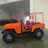 Mini Jeep 4x4 personnalisable couleur, faible coût, 300CC/250cc, mini buggy des dunes pour expéditions, base-camp et chasse
