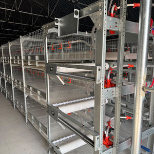 Hayvan kafesleri için en çok satan h-tipi Broiler tavuk çiftliği kulubesi 50000 kuş kapasiteli tavuk kafesi - Product Image 2