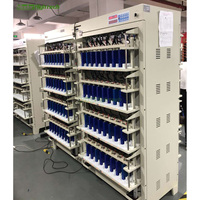 Mesin Sistem Pengklasifikasi dan Pengatur Kapasitas Sel Prismatik 5V 30A 128 Kanal untuk Lini Perakitan Paket Baterai Daya