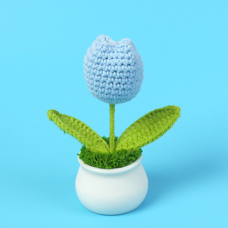 Singola pianta in vaso tulipano blu