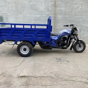 Nouveau style de tricycle 250cc pour passagers et marchandises, moto à trois roues à essence - Product Image 6