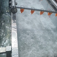Industriële 1000KG/H Sproeier voor het continu reinigen van schelpdieren (schelpen, garnalen, krabben, oesters) met hoge druk en transportband