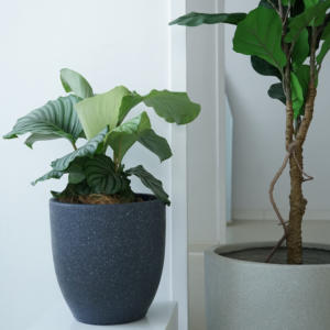 Macetas de Cemento de Gran Tamaño con Efecto <span class=keywords><strong>Terrazo</strong></span>, Diseño Moderno, Ecológicas, para Interiores y Exteriores, Decoración para Jardín y Hogar - Product Image 4