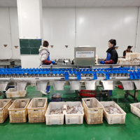 Machine de triage de volailles par poids pour poulets et canards entiers de type plateau