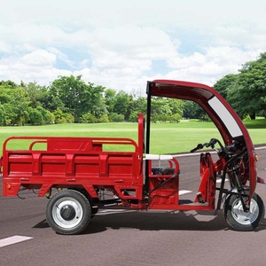 Auto Three Wheeler Tricycle 1500W Tricycle Screen Canopy Cabin Pedicab Manufacturer Price - Product Image 5
