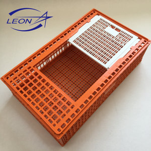 <span class=keywords><strong>Leon</strong></span>, superventas, jaula de plástico para pollos pequeños/niños - Product Image 6