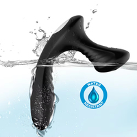 Masseur de prostate vibrant rechargeable par USB pour hommes, stimulateur anal à 9 fréquences, masturbateur masculin, jouet sexuel pour adultes imperméable