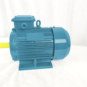 มอเตอร์เหนี่ยวนำแบบสามเฟส 200 กิโลวัตต์ - Product Image 5