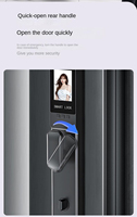 Fabrieks prijs 3D Wishome Lock slimme deurvergrendeling met gezichtsherkenning, biometrische vingerafdruk, code, kaart en cloud.