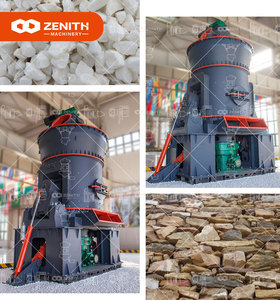 Moulin à Cylindres Vertical Ultra-Fin Commercial Shanghai Zenith avec Pompe à Engrenages et Roulements – Efficace et Écologique - Product Image 4
