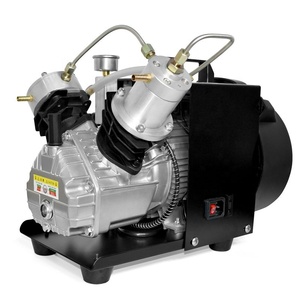 <strong>TUXING</strong> Wholesale 300Bar/4500Psi/30Mpa Double Cylinder Scuba Diving Mini Outdoor Hunting Portable PCP Paintball Air Compressor - Product Image 1