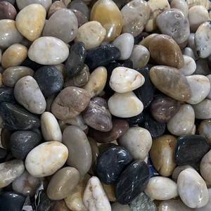 Kit de acuario plantado para el hogar pequeño con decoraciones completas del ecosistema Adornos de plástico Aquascape y refugios escondidos - Product Image 4