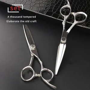 High Quality Hair Cutting Thinning Scissors Professional Barber Salon Hair Cutting Scissors Hair Styling Factory Supplier