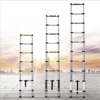 Échelle télescopique multifonctionnelle de 2 à 6 m, échelle portable à un seul côté, en aluminium, carton argenté, escalier moderne en aluminium, 1 pièce