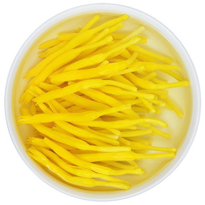 Alcachofas Frescas Comerciales, Cortadas y Mezcladas, para Platos Fríos Salados, Hot Pot Picante, Brochetas para Restaurantes, 500g, Grado A - Product Image 5