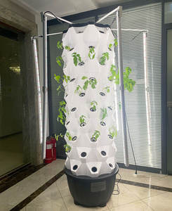 Tour d'ananas High-Tech Système hydroponique Tour hydroponique d'irrigation à usage domestique avec lumière LED - Product Image 6