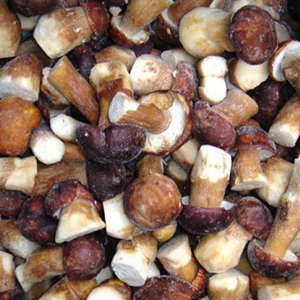 IQF Frozen Wild Mixed Mushrooms Oyster Cut <span class=keywords><strong>Shiitake</strong></span> Nameko <span class=keywords><strong>Boletus</strong></span> Edulis Slices para la venta - Product Image 5