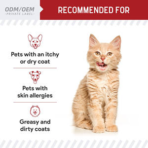 Aceite de Salmón Silvestre Natural de Alaska OEM/ODM para Perros y Gatos, Suplemento Líquido Omega-3 EPA/DHA que Promueve una Piel y un Pelaje Saludables - Product Image 4