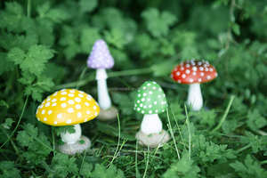 Conjunto de cuatro Multi color seta Jardín de setas adornos y estatuas Ideal de jardín de hadas decoración (multicolor) - Product Image 4