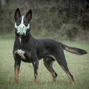 Nuovo Museruola Kangdarpet di Alta Qualità in Pelle Resistente e Anti-morso, Regolabile per Cani di Taglia Grande come Malinois, Pastore e <span class=keywords><strong>Pitbull</strong></span> - Product Image 4