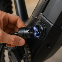 Chargeur de vélo électrique 36V 42V2A avec prise magnétique Rosenberger, éclairage LED pour Flyer Focus Stella Van Raam