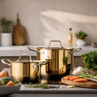 Ensemble de casseroles et poêles de luxe en acier inoxydable doré avec couvercles, pour cuisine domestique et vente en gros