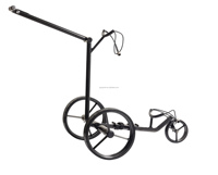 Carrito de golf Elektro carbono
