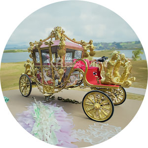 Calèche de Mariage Chevalière Dorée Transport Spécial Calèche Tirée par des Chevaux Angel 4 Roues Luxe 4-6 Personnes Pneus en Caoutchouc Plein - Product Image 3