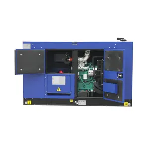 8kw 10kw 12kw 16kw 20kw Nước Làm Mát Di Động Genset Nhỏ Sử Dụng Nhà Máy Phát Điện Diesel Với Yangdong