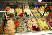 12 Casseroles Glace Congélateur en Lot de Crème Glacée Gelato congélateur en continu au meilleur prix