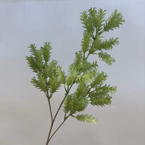 Mori Monai Garden's Green Artificial Wedding Flowers Espárragos Ponkleisson Eucalyptus PARA EL Día de San Valentín Venta al por mayor gratuita ofrecida - Product Image 4