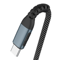 USB 3,1 TIPO C A USB TIPO C 2M 100W 20G