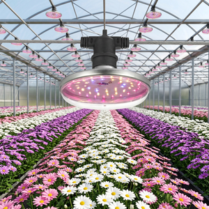 Luz LED de Cultivo E27 15W IP54 para el Cultivo de Flores <span class=keywords><strong>Eustoma</strong></span> <span class=keywords><strong>Grandiflorum</strong></span> - Product Image 1