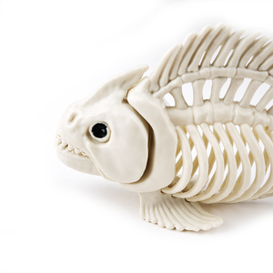 <span class=keywords><strong>Esqueleto</strong></span> de pez de Halloween, <span class=keywords><strong>huesos</strong></span> de plástico de animales <span class=keywords><strong>con</strong></span> articulaciones deformables para decoraciones de Halloween, accesorios de fiesta - Product Image 2
