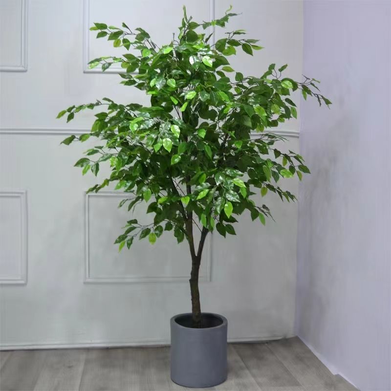 สีเขียว