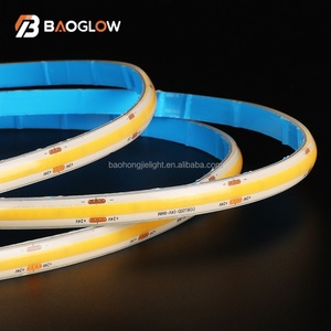 IP68 Waterproof Cuttable Outdoor <b>Pool</b> Decor LED <b>Lights</b> 12W/M 10mm PCB 3000K 4000K 6000K Warm Natural White Stripe <b>Lights</b> - Product Image 6