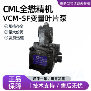 Pompe hydraulique à palettes variables CML VCM-SF-15C-10 à montage sur bride pour systèmes hydrauliques - Product Image 5