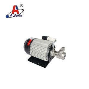 Bomba de Paletas Rotativas de Alta Presión para Agua y Metanol - Product Image 2