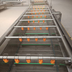 Lavadora Automática Comercial para Frutas, Verduras y Otros Productos - Product Image 3