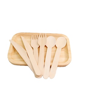 50pcs Wooden Cutlery Disposable Spoons Taster Teaspoons Bamboo Wood Party Bulk Biodegradable Utensils Ice Cream Dessert Spoon