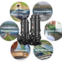 Pompe submersible à prix compétitif, pompe submersible verticale robuste pour l'irrigation agricole