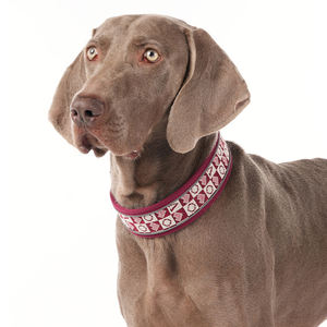 Novedad, <span class=keywords><strong>Collar</strong></span> de perro con patrón de letras bordadas, collares reflectantes acolchados suaves para mascotas con hebilla de Pin, collares de tela transpirable para cachorros - Product Image 1