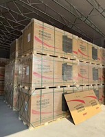 Module solaire bifacial LONGi LR8-66HVD Hi-MO X10 Scientist 640-665W à double vitrage, panneau photovoltaïque de type N à haute efficacité de 24,62%