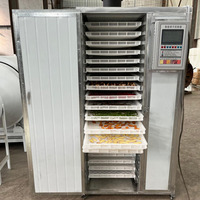 Grote industriële commerciële dehydrator voor groenten, fruit, specerijen, kruiden, wortelen, citroenen, appels, perziken, uien en aardappelen