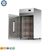 Gedehydrateerde Passievrucht Champignonkoolblad Roterende Infrarood Mini Voedsel Dehydrator Mat Vellen Droger Knoflook Dehydratie Machine