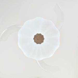 Ventilateur de plafond traditionnel à moteur DC avec télécommande, éclairage LED, panneau PC invisible et 3 pales pour hôtels - Fournisseur de ventilateurs de plafond - Product Image 4