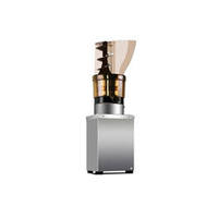 Extracteur automatique de jus de pomme, extracteur électrique, extracteur de jus de Fruit frais, extracteur de jus de pomme