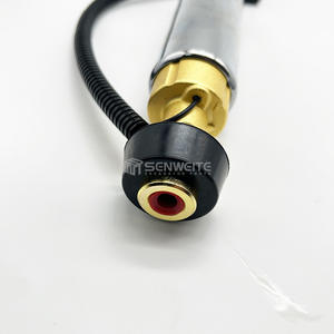 Repuestos para Motor de Excavadora Senwitt 4937766 Bomba de Aceite Electrónica Negra con 6 Meses de Garantía - Product Image 3